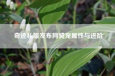 奇迹私服发布网骑宠属性与进阶
