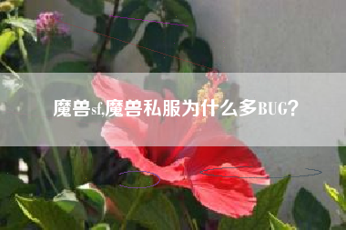 魔兽sf,魔兽私服为什么多BUG？