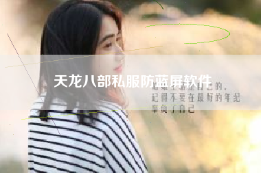 天龙八部私服防蓝屏软件