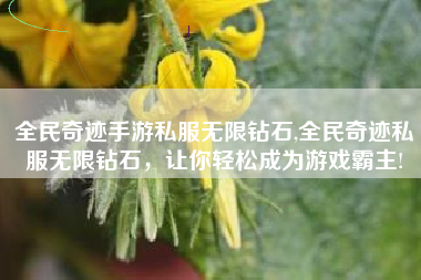全民奇迹手游私服无限钻石,全民奇迹私服无限钻石，让你轻松成为游戏霸主!