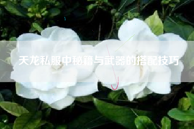 天龙私服中秘籍与武器的搭配技巧