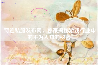 奇迹私服发布网，独家揭秘游戏行业中的不为人知的秘密！
