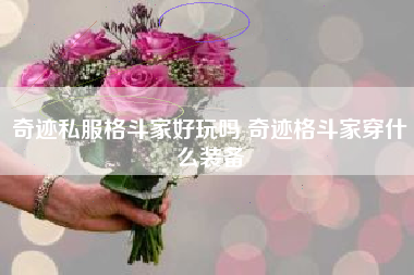 奇迹私服格斗家好玩吗 奇迹格斗家穿什么装备