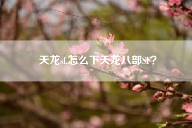 天龙sf,怎么下天龙八部SF？