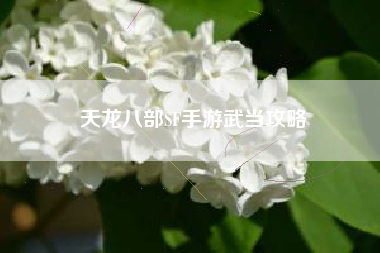 天龙八部SF手游武当攻略