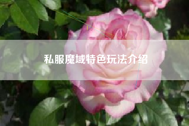 私服魔域特色玩法介绍