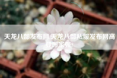 天龙八部发布网,天龙八部私服发布网高要哪家强?