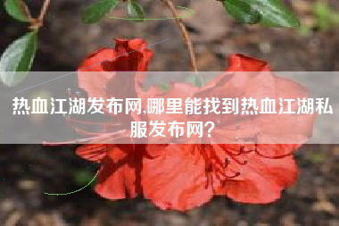 热血江湖发布网,哪里能找到热血江湖私服发布网？