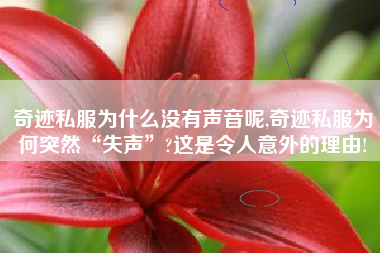奇迹私服为什么没有声音呢,奇迹私服为何突然“失声”?这是令人意外的理由!