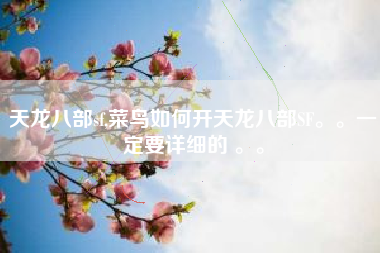 天龙八部sf,菜鸟如何开天龙八部SF。。一定要详细的 。。