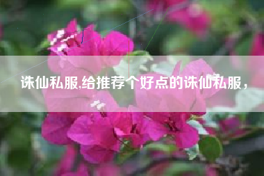 诛仙私服,给推荐个好点的诛仙私服，