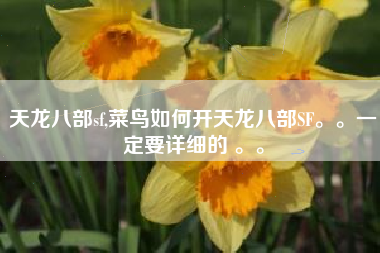 天龙八部sf,菜鸟如何开天龙八部SF。。一定要详细的 。。