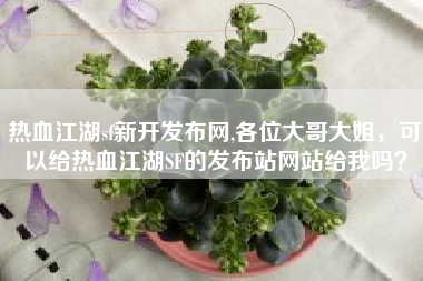 热血江湖sf新开发布网,各位大哥大姐，可以给热血江湖SF的发布站网站给我吗？