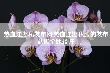 热血江湖私发布网,热血江湖私服的发布站哪个比较好