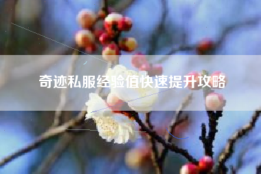 奇迹私服经验值快速提升攻略