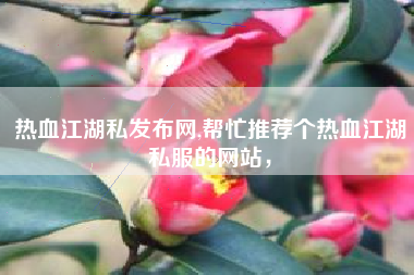 热血江湖私发布网,帮忙推荐个热血江湖私服的网站，