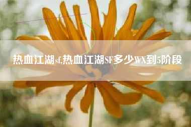 热血江湖sf,热血江湖SF多少WX到5阶段