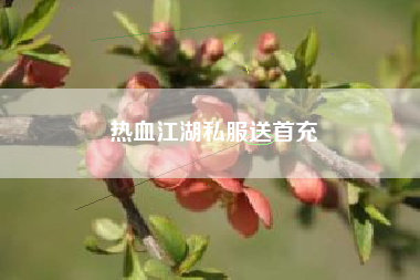 热血江湖私服送首充