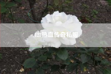 123热血传奇私服