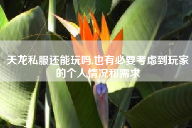 天龙私服还能玩吗,也有必要考虑到玩家的个人情况和需求