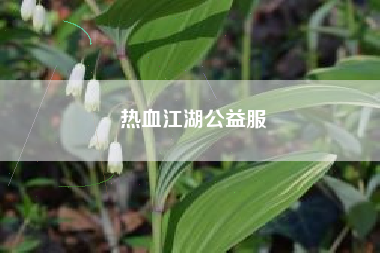 热血江湖公益服