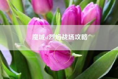 魔域sf烈焰战场攻略