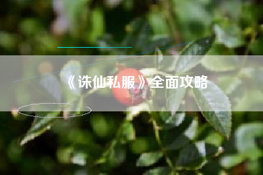 《诛仙私服》全面攻略