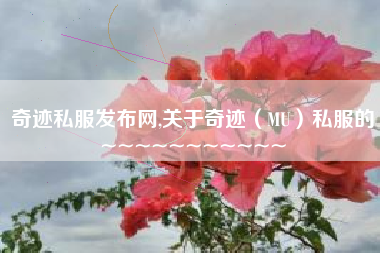 奇迹私服发布网,关于奇迹（MU）私服的~~~~~~~~~~~