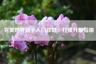 完美世界新手入门攻略：打怪升级指南