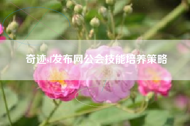 奇迹sf发布网公会技能培养策略