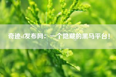 奇迹sf发布网：一个隐藏的黑马平台！