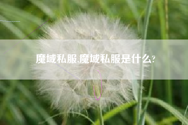 魔域私服,魔域私服是什么?