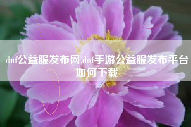 dnf公益服发布网,dnf手游公益服发布平台如何下载
