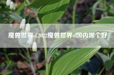 魔兽世界sf,2022魔兽世界sf国内哪个好