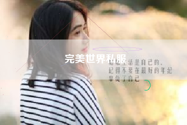 完美世界私服