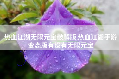 热血江湖无限元宝破解版,热血江湖手游变态版有没有无限元宝
