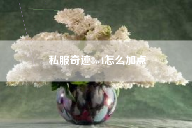 私服奇迹8w4怎么加点