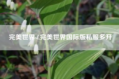 完美世界sf,完美世界国际版私服多开