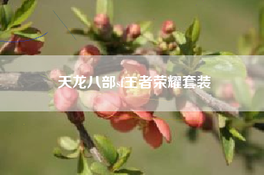 天龙八部sf王者荣耀套装