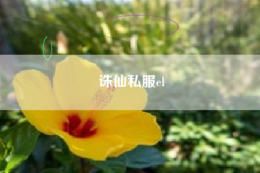 诛仙私服el
