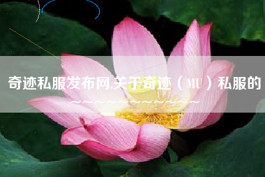 奇迹私服发布网,关于奇迹(MU)私服的~~~~~~~~~~~
