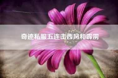 奇迹私服五连击西风和霹雳