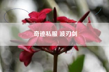 奇迹私服 波刃剑