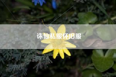 诛仙私服怀旧服