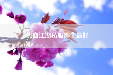 热血江湖私服哪个最好