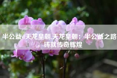 半公益sf天龙皇朝,天龙皇朝：半公益之路，铸就传奇辉煌