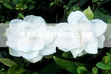 奇迹私服神射手带什么翅膀