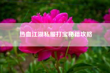 热血江湖私服打宝秘籍攻略