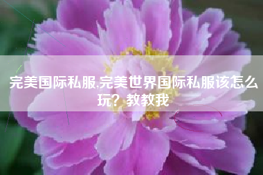完美国际私服,完美世界国际私服该怎么玩?教教我