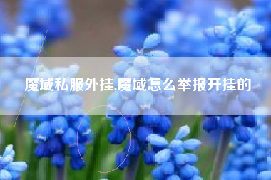 魔域私服外挂,魔域怎么举报开挂的